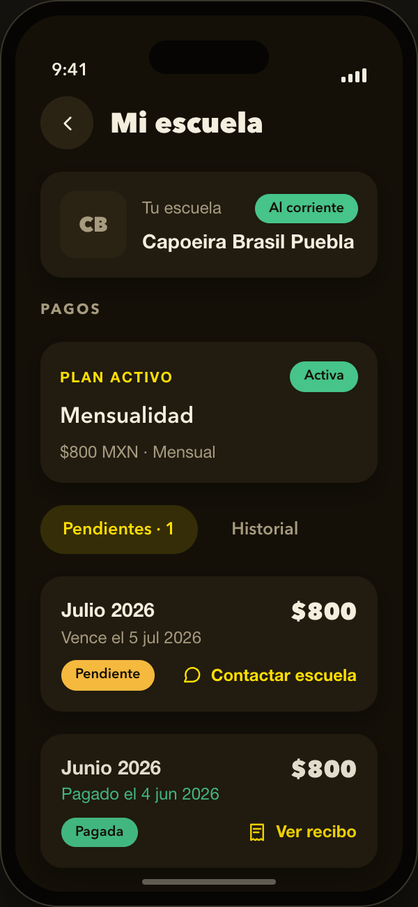 Consulta tus pagos y recibos, claros