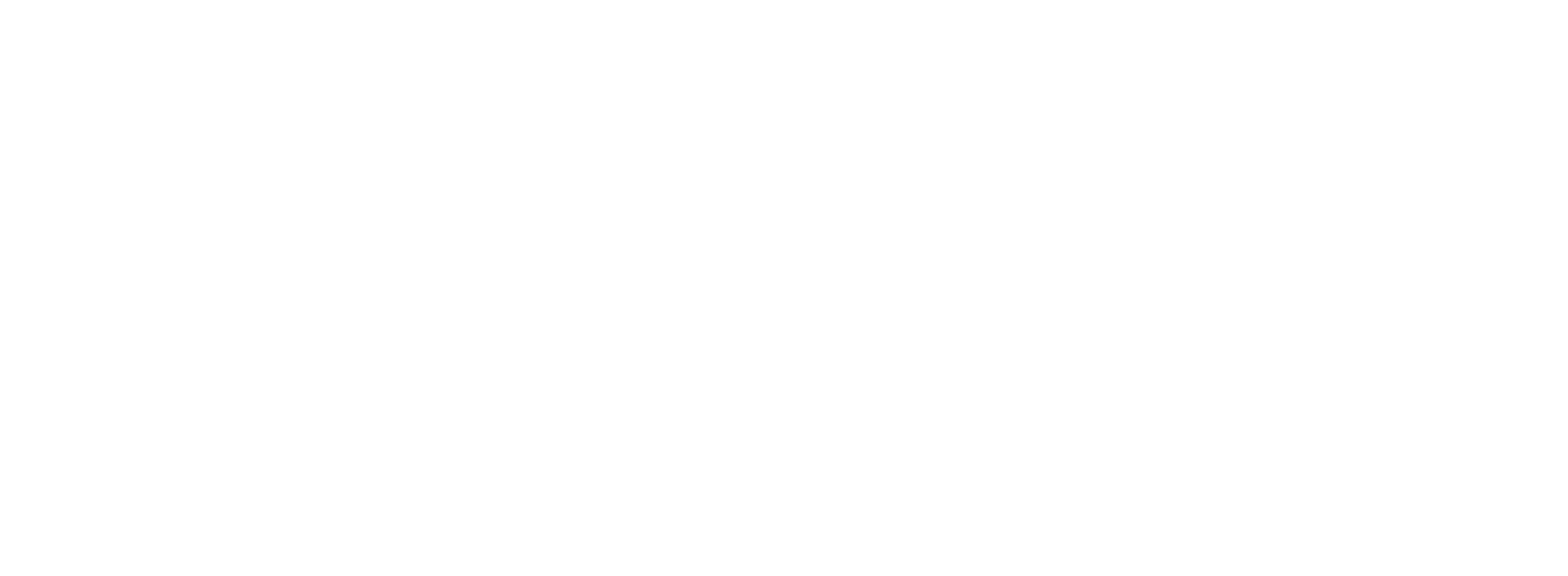 Ginga Nation